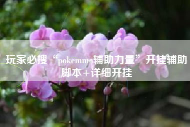玩家必搜“pokemmo辅助力量”开挂辅助脚本+详细开挂