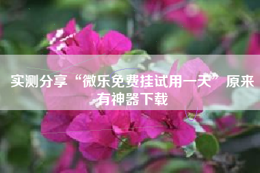 实测分享“微乐免费挂试用一天”原来有神器下载