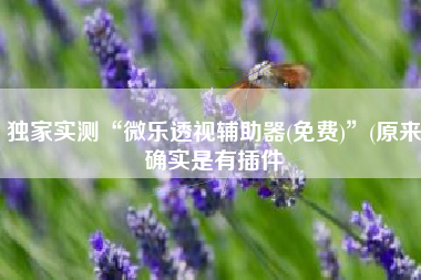 独家实测“微乐透视辅助器(免费)”(原来确实是有插件