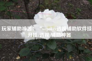 玩家辅助神器：“wepoker透视辅助软件挂”开挂(透视)辅助神器