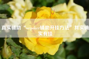 真实辅助“wepoker辅助开挂方法”其实确实有挂