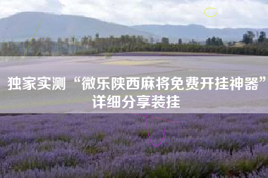 独家实测“微乐陕西麻将免费开挂神器”详细分享装挂