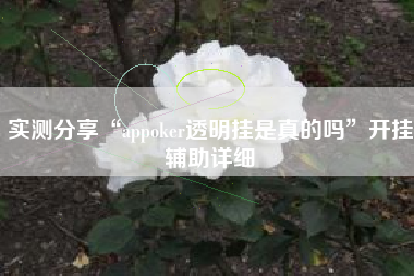 实测分享“appoker透明挂是真的吗”开挂辅助详细