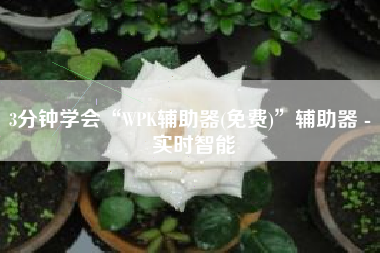 3分钟学会“WPK辅助器(免费)	”辅助器 - 实时智能