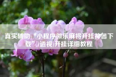 真实辅助“小程序微乐麻将开挂神器下载”(透视)开挂详细教程