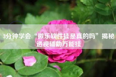 3分钟学会“微乐软件挂是真的吗”揭秘透视辅助万能挂