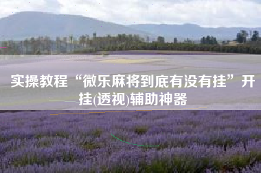 实操教程“微乐麻将到底有没有挂	”开挂(透视)辅助神器