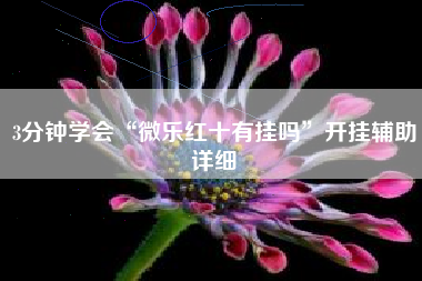 3分钟学会“微乐红十有挂吗”开挂辅助详细