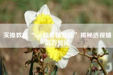 实操教程“wpk软件辅助挂	”揭秘透视辅助万能挂