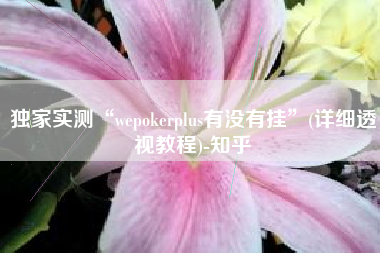 独家实测“wepokerplus有没有挂”(详细透视教程)-知乎