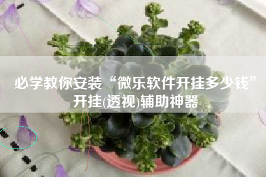 必学教你安装“微乐软件开挂多少钱”开挂(透视)辅助神器