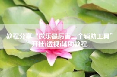 教程分享“微乐最厉害三个辅助工具”开挂(透视)辅助教程