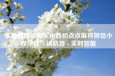 实操教程“微乐山西扣点点麻将微信小程序挂	”辅助器 - 实时智能