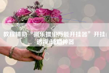 教程辅助“微乐掼蛋万能开挂器”开挂(透视)辅助神器