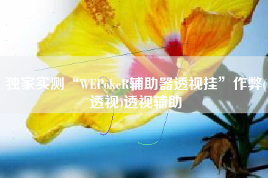 独家实测“WEPokeR辅助器透视挂”作弊(透视)透视辅助