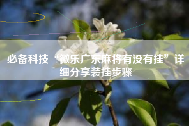 必备科技“微乐广东麻将有没有挂”详细分享装挂步骤