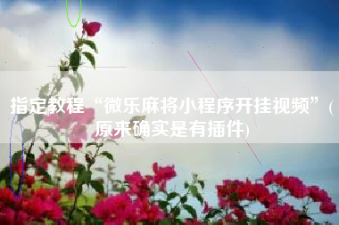 指定教程“微乐麻将小程序开挂视频”(原来确实是有插件)