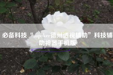必备科技“aapoker德州透视辅助”科技辅助神器手机版