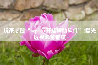 玩家必搜“wepoker开挂辅助软件”(曝光透视必备猫腻