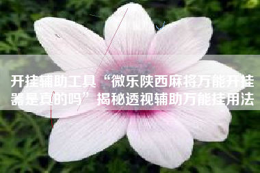 开挂辅助工具“微乐陕西麻将万能开挂器是真的吗”揭秘透视辅助万能挂用法