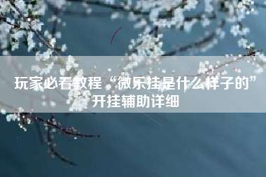 玩家必看教程“微乐挂是什么样子的”开挂辅助详细