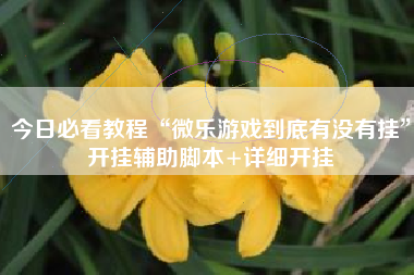 今日必看教程“微乐游戏到底有没有挂”开挂辅助脚本+详细开挂