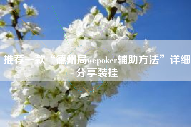 推荐一款“德州局wepoker辅助方法”详细分享装挂