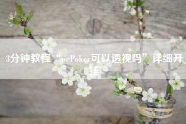 3分钟教程“wePoker可以透视吗	”详细开挂