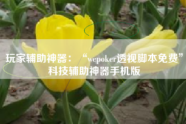 玩家辅助神器：“wepoker透视脚本免费”科技辅助神器手机版