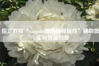 指定教程“waapoke辅助透视插件”辅助器 - 实时智能回复
