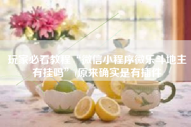 玩家必看教程“微信小程序微乐斗地主有挂吗”(原来确实是有插件