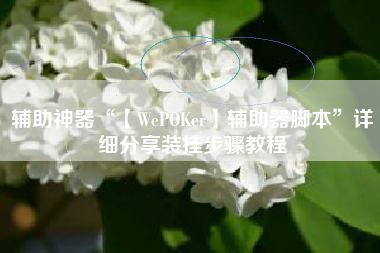 辅助神器“【WePOKer】辅助器脚本”详细分享装挂步骤教程