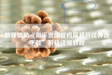 教程辅助“微乐贵阳捉鸡麻将开挂神器下载	”开挂详细教程