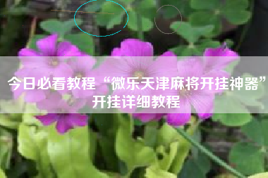 今日必看教程“微乐天津麻将开挂神器”开挂详细教程