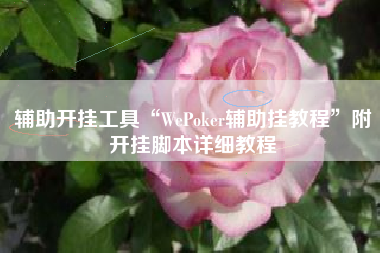 辅助开挂工具“WePoker辅助挂教程”附开挂脚本详细教程