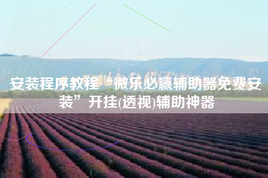 安装程序教程“微乐必赢辅助器免费安装”开挂(透视)辅助神器