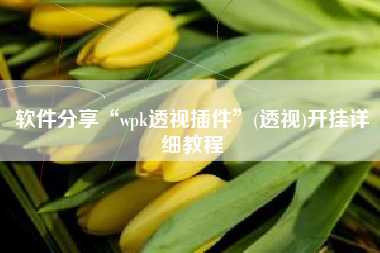 软件分享“wpk透视插件”(透视)开挂详细教程
