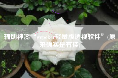 辅助神器“wepoker轻量版透视软件”(原来确实是有挂)