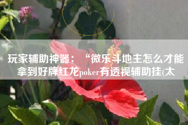玩家辅助神器：“微乐斗地主怎么才能拿到好牌红龙poker有透视辅助挂(太
