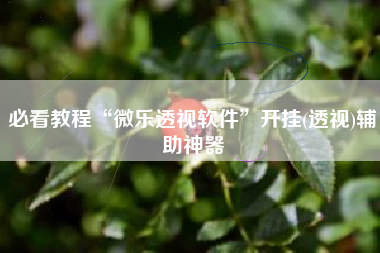 必看教程“微乐透视软件”开挂(透视)辅助神器