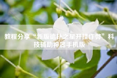 教程分享“新版德扑之星开挂作弊	”科技辅助神器手机版