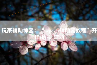 玩家辅助神器：“wepoker辅助器教程”开挂(透视)辅助