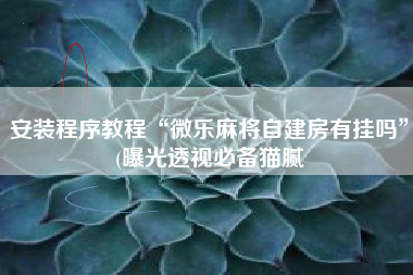 安装程序教程“微乐麻将自建房有挂吗”(曝光透视必备猫腻