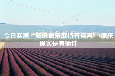 今日实测“腾讯微乐麻将有挂吗”(原来确实是有插件