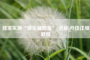 独家实测“微乐辅助器”(透视)开挂详细教程