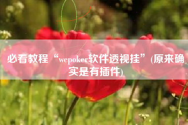 必看教程“wepoker软件透视挂	”(原来确实是有插件)