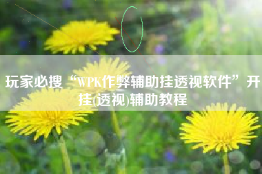 玩家必搜“WPK作弊辅助挂透视软件”开挂(透视)辅助教程