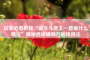 玩家必看教程“微乐斗地主一直输什么情况”揭秘透视辅助万能挂用法