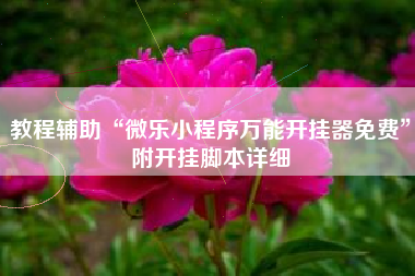 教程辅助“微乐小程序万能开挂器免费”附开挂脚本详细