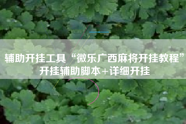 辅助开挂工具“微乐广西麻将开挂教程”开挂辅助脚本+详细开挂